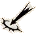 pierce pierce
